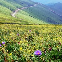 禅游：走遍七大山